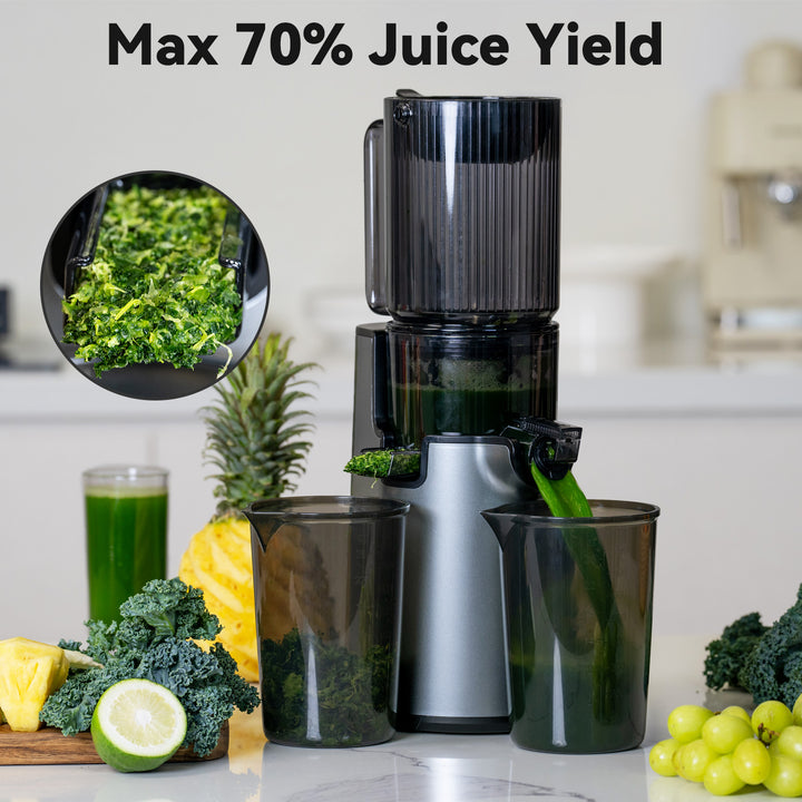 4.1"  Reversible Large Feed Chute Cold Press Juicer (Two Colors Availavble) LINKChef